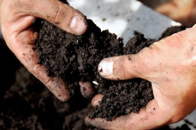 Why Composting Consulting Services Are Essential for Sustainable Waste Management