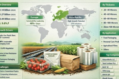 Top 10 Leading Players in PLA Compostable Film Market Projected to Achieve a CAGR of 9.8% by 2034