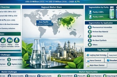 Global Methyl Levulinate Market to Reach USD 31 Million by 2034, Growing at 4.7% CAGR