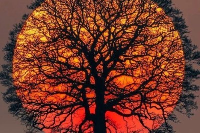 Is Your Construction Project Set Up for Success?