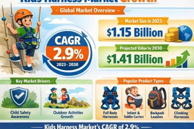 Kids Harness Market’s CAGR of 2.9%: Top 10 Companies Leading the Charge in 2034