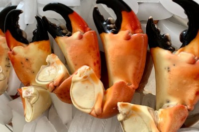 Best Side Dishes for Stone Crab Claws