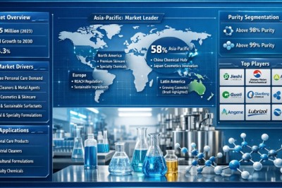 Global Lauryl Phosphate (MAE) Market Valued at USD 215M – What’s Driving Growth Through 2034?