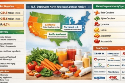 United States Carotene Market to Grow at 6.7% CAGR from 2026 to 2034 – Key Companies to Watch