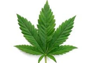 Buying Cannabis Online in California: A Step-by-Step Checkout Walkthrough