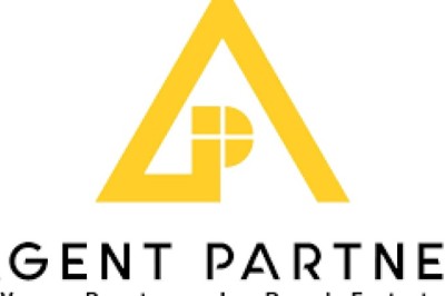 Agent Partner: A Powerful Strategy for Business Growth