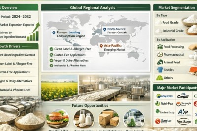 Global Pea Starch Market Size, Share and Growth Outlook to 2034