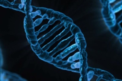 Hyperbaric Oxygen Treatment for Healing: Natural Recovery in Spain