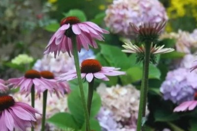 5 Mistakes to Avoid During Outdoor Firepit Installation in Cape Cod