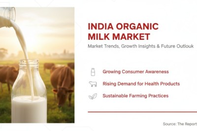 India Prepaid Cards Market: Unlocking Rapid Growth in the Digital Payments Ecosystem