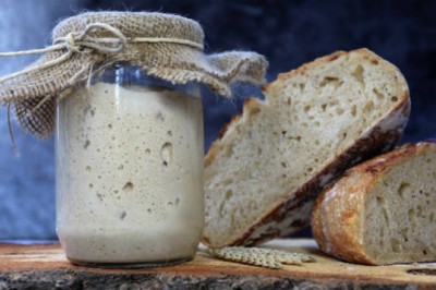 Global Starter Feed Market Size and Demand Analysis Report