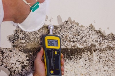 Mold Inspection Service South Plainfield