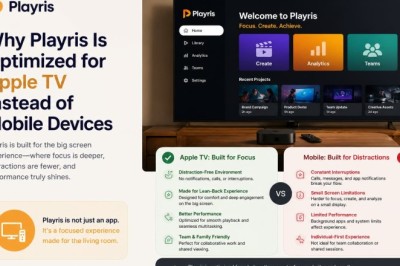 Why Playris Is Useful for People With Large Personal Music Libraries