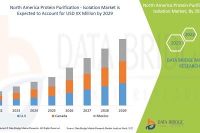 How North American Labs Choose Protein Isolation Solutions