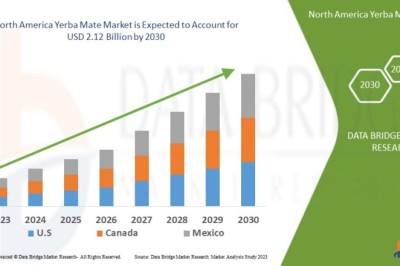 Top Yerba Mate Brands in North America