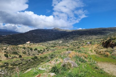 Buy a House in Greece: Avoid These Mistakes When You Buy a House in Greece