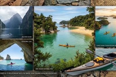 Kayaking Tours in New Zealand: Explore the Coastline Like Never Before