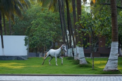 Boost Team Spirit at the Best Resorts in Coimbatore for Team Outing