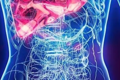 Endoscopy Charges in Singapore: Cost Guide, Procedure Types & What Affects Pricing