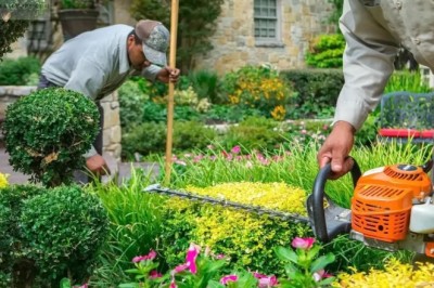 Why Should Outdoor Spaces Receive Expert Care?
