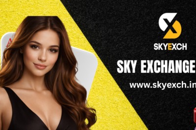 Sky Exchange App Experience: Fast Performance and Secure Login