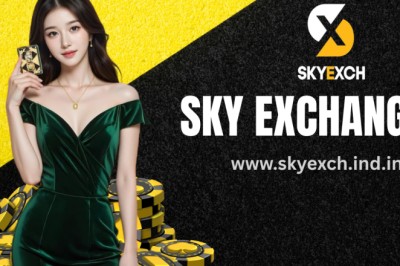 Sky Exchange Explained: A Modern Platform for Online Users