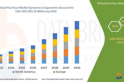 Pea Flour Market Future Trends