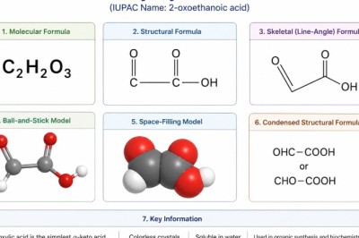4-Nitro-o-xylene Price Chart: A Simple Guide to Understanding Market Trends