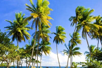 trinidad and tobago beaches