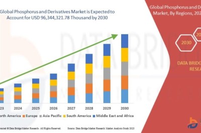 What Is Influencing Growth Trends in the Phosphorus and Derivatives Market?