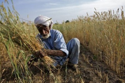 Biological Crop Protection: Sustainable Farming for Pakistan