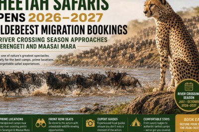 Cheetah Safaris Opens 2026–2027 Wildebeest Migration Bookings as River Crossing Season Approaches in Serengeti and Maasai Mara