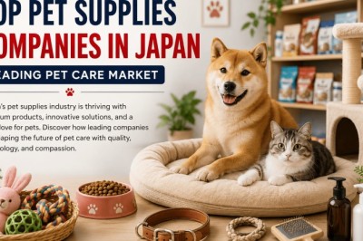 Top Pet Supplies Companies in Japan Reshaping Care