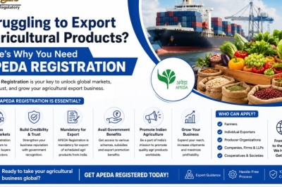Cracking the Code: What Every Agri-Exporter Should Know About APEDA Registration