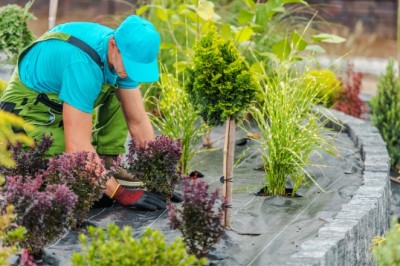 How Can You Transform Your Property with Premier Landscaping Services in Roebuck, SC?