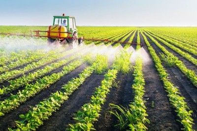Liquid Fertilizer for Plants: Benefits, Types, Application Tips & Best Practices