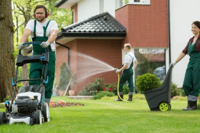 Transform Your Outdoor Space with Expert Lawn Care Solutions