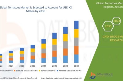 Tomatoes Market Expands on Strong Demand from Food Processing and Fresh Produce Sectors