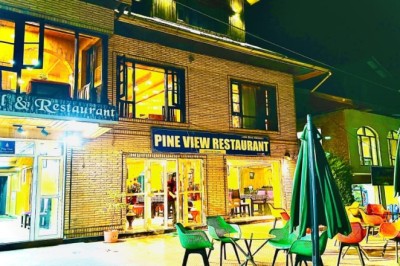 Best Hotel in Gulmarg: Experience Comfort, Nature & Memorable Stays at Pine View Hotels